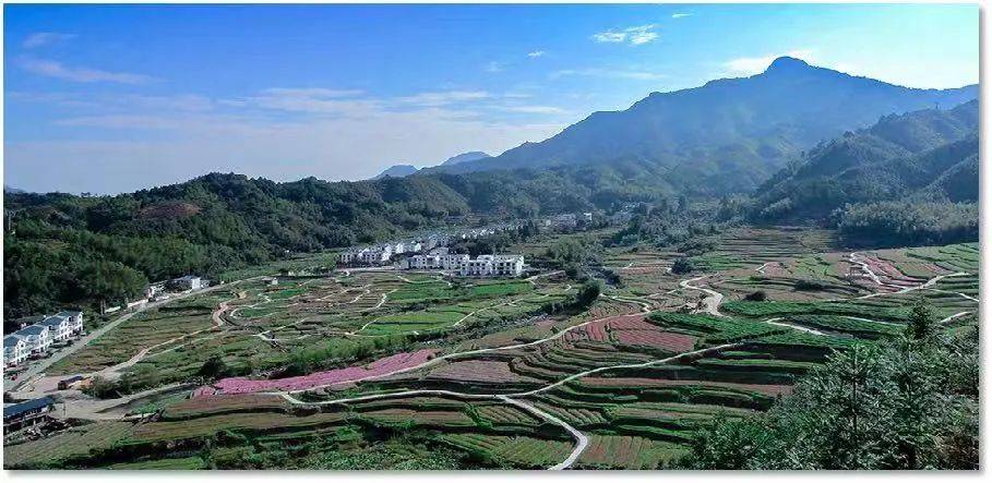 【乡村振兴】濉溪镇:融合发展促振兴,善作善成谱新篇