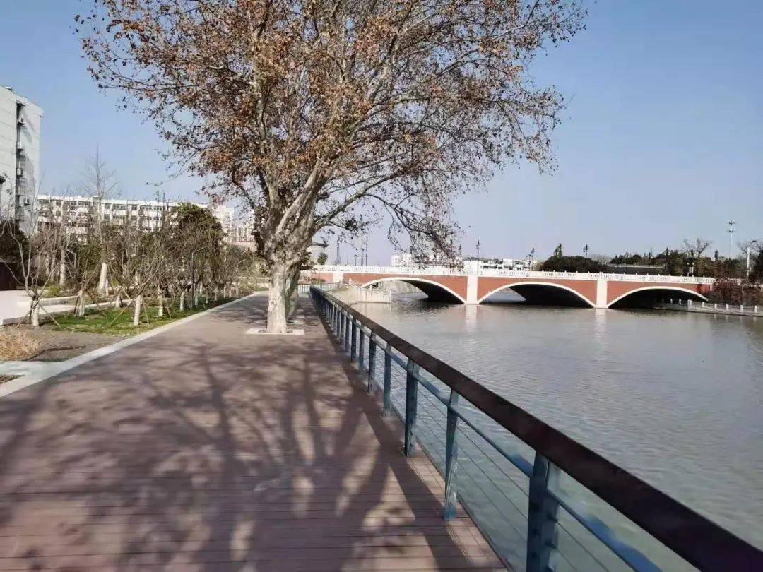 泰州市民游玩又有好去处西仓桥南侧景观工程竣工啦