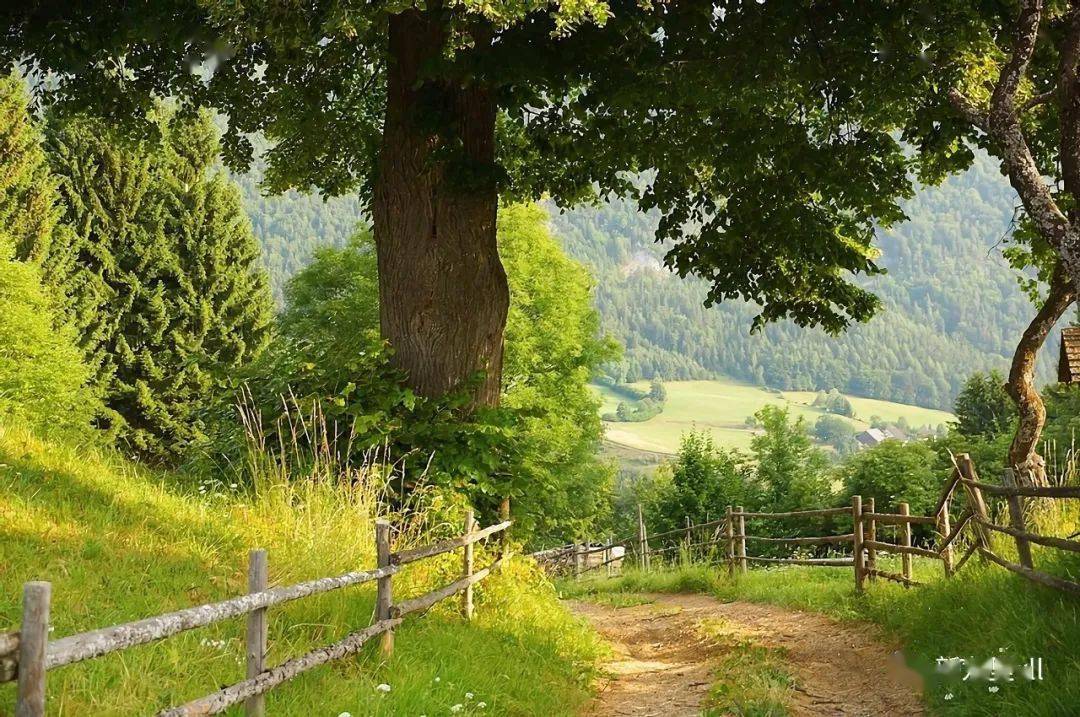 陈曦县长:听取县有关部门负责人汇报工作;到龙山镇宣讲党的十九届五中