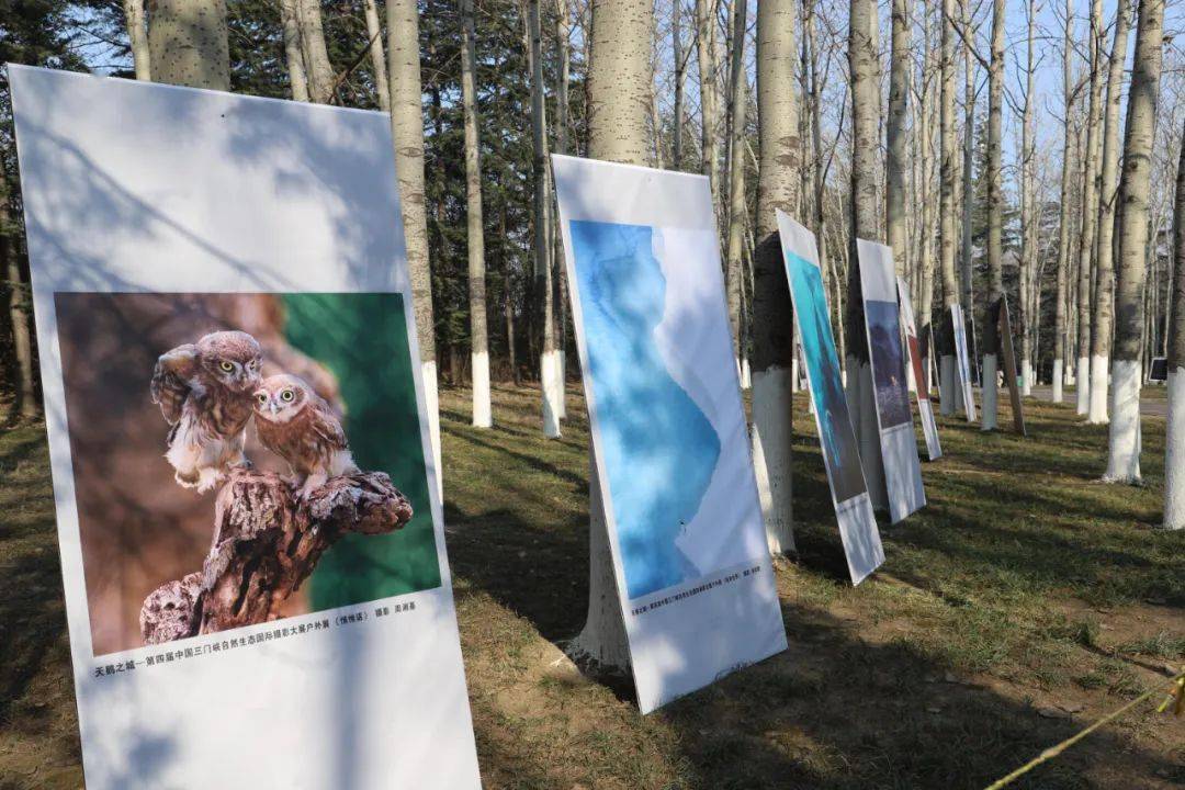 这里有一场特殊的摄影展等你来看自然生态摄影大展搬到了自然生态环境