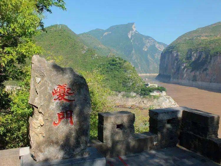 菊花 铜奖47 赵巧叶男 咏奉节铜奖46 康丽娟女 临江仙61奉节脐橙