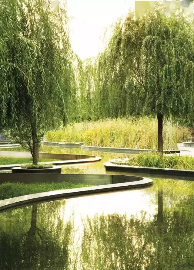 小水面的植物配置