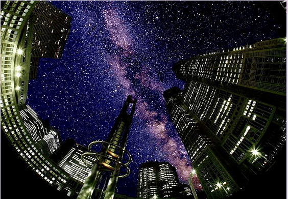 霓虹金の圣诞有啥不一样