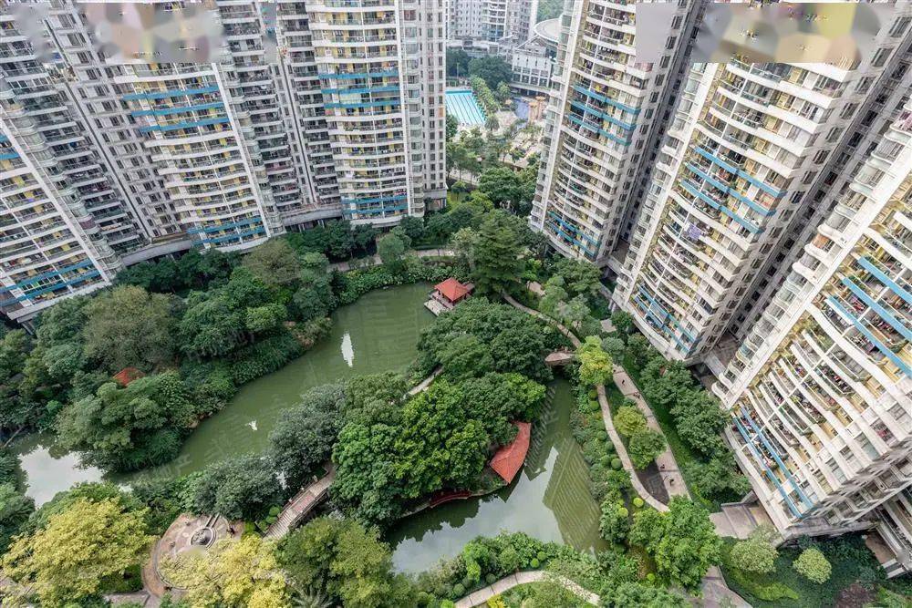 社区专家介绍∣白云区富力桃园分行店董余毅