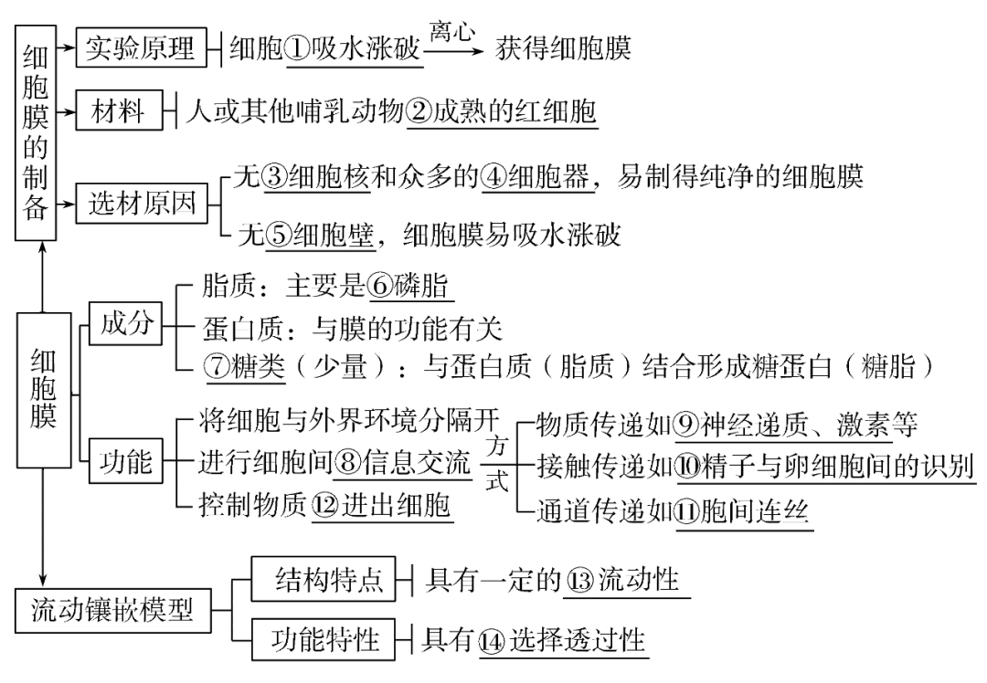 细胞质思维导图图片