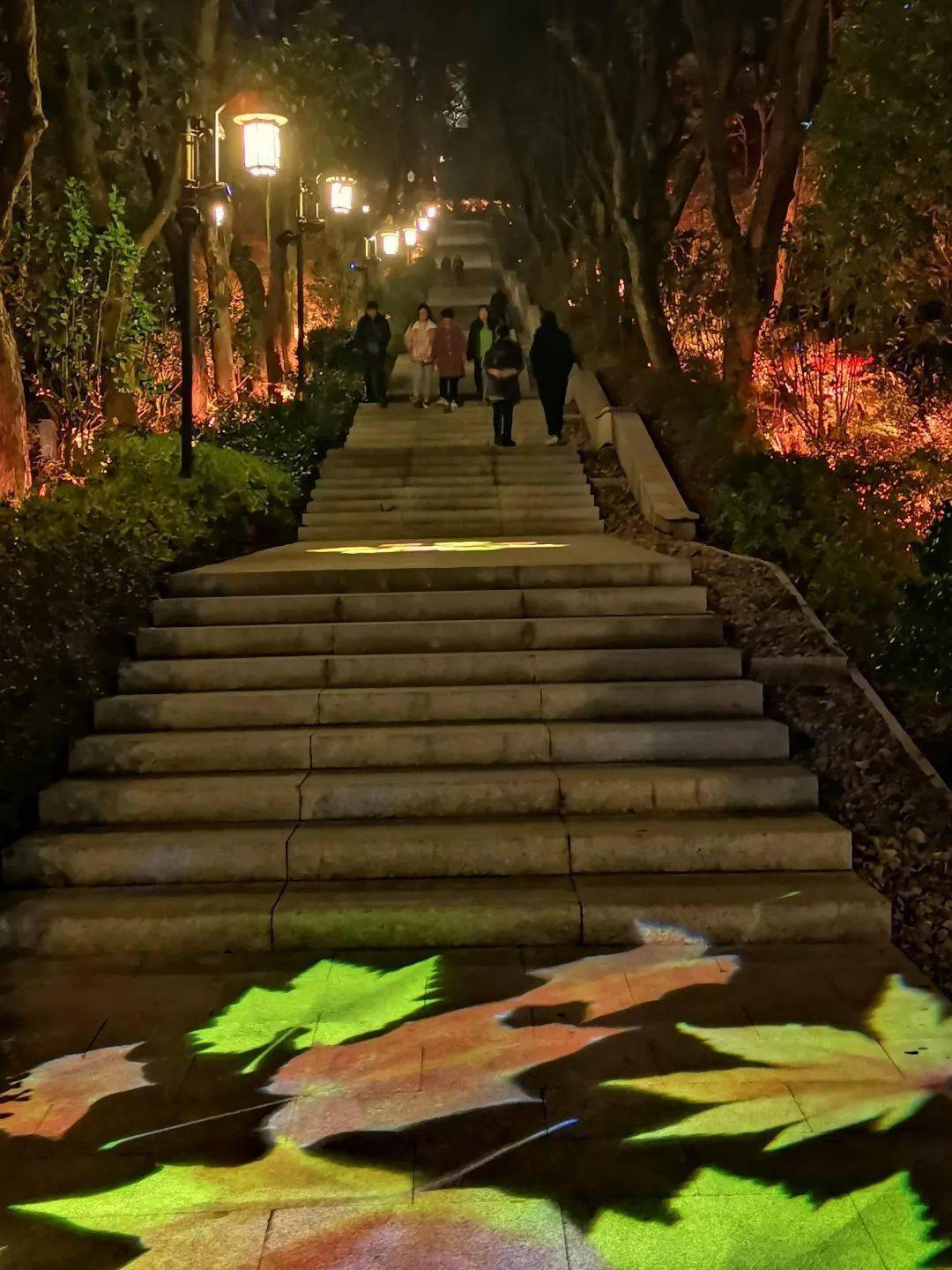 一样的夜,不一样的鼓山公园!