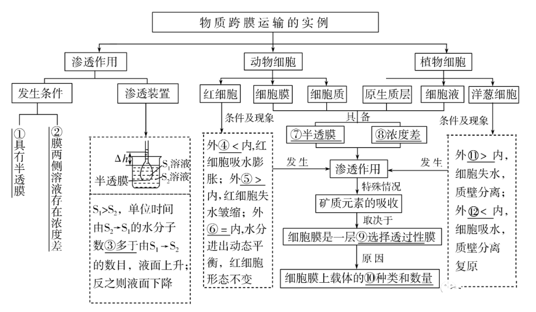 高考生物一輪複習分子與細胞思維導圖專題彙總彙總