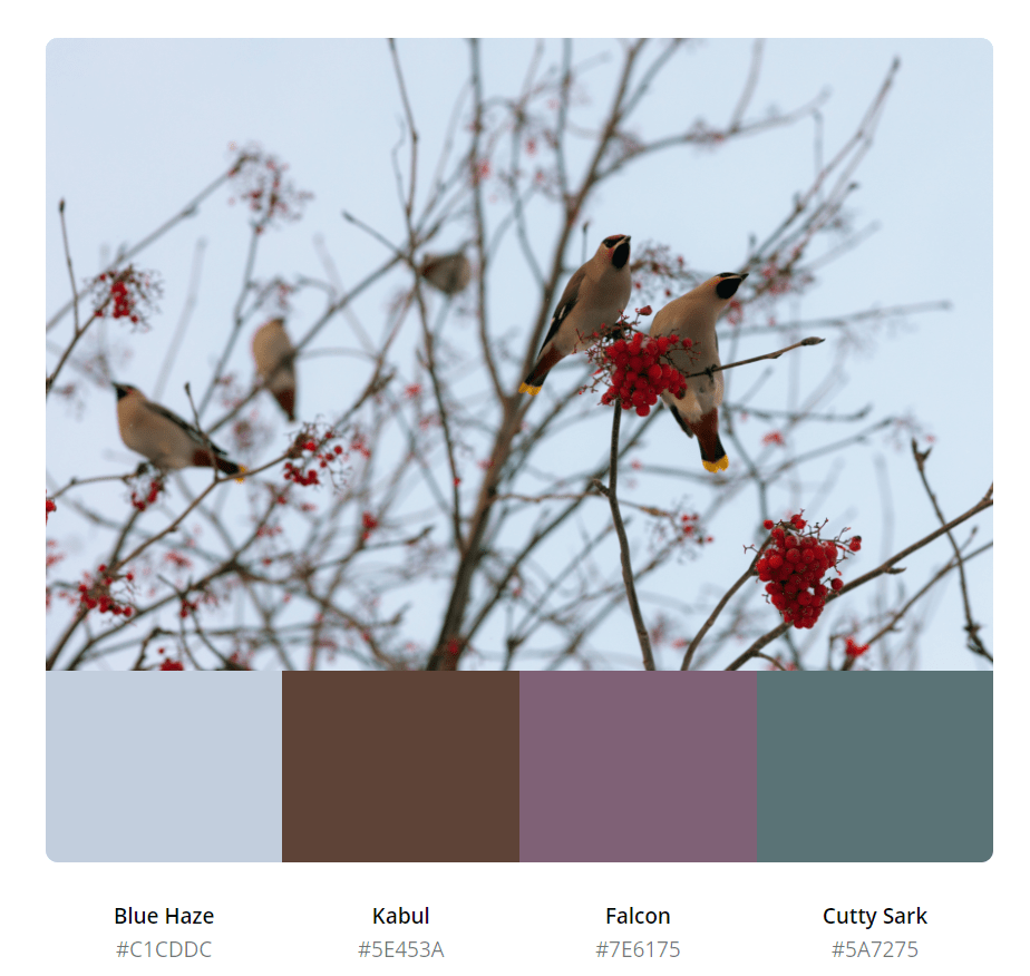 属于冬天的色卡参考