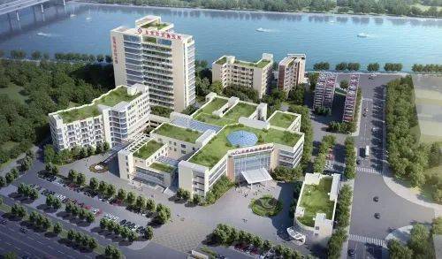 一位由护士成长起来的公立医院院长_洪梅