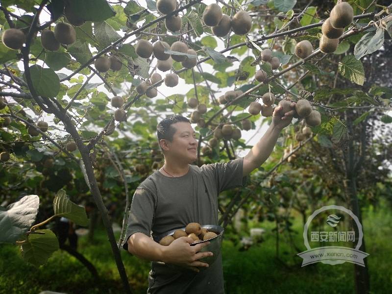 陕西周至翠峰名人图片