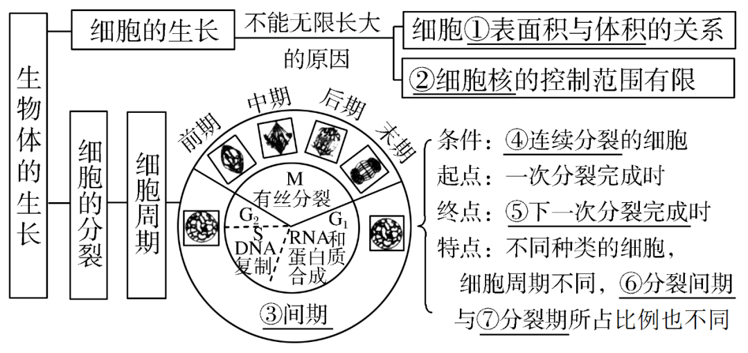 高考生物一輪複習分子與細胞思維導圖專題彙總彙總