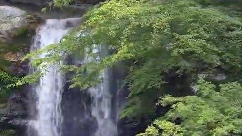 十大古筝名曲之高山流水著名演奏家王昌元浙派筝传人
