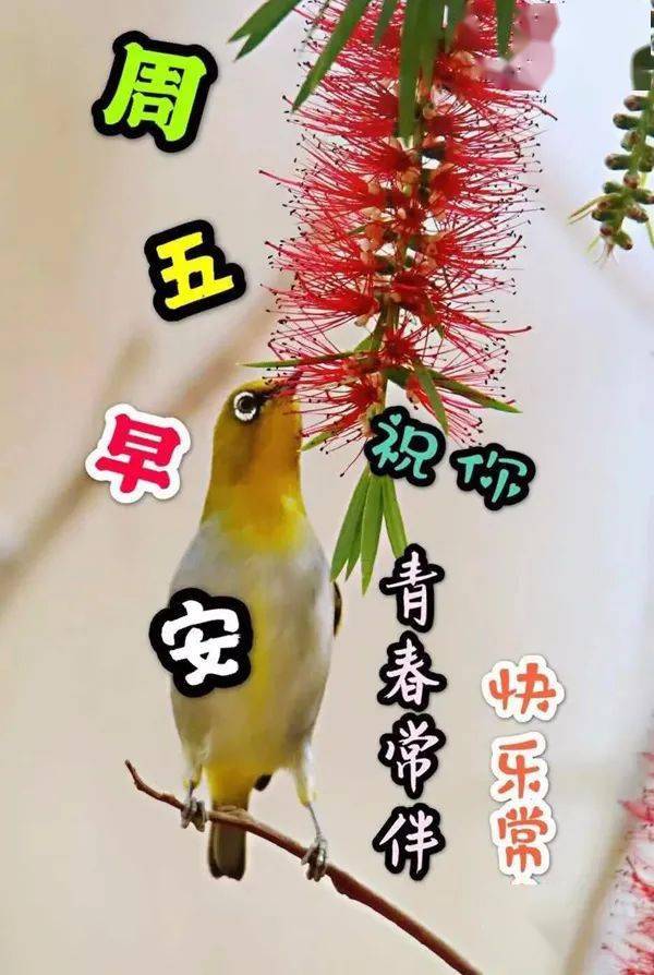 最新周五早上好表情包天冷了多穿点愿你简单且快乐