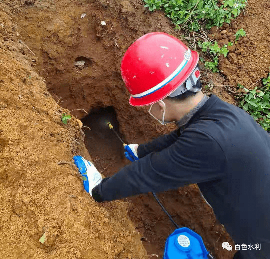 靖西市水利局开展水库大坝白蚁防治工作