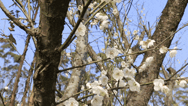 380_214gif 动态图 动图