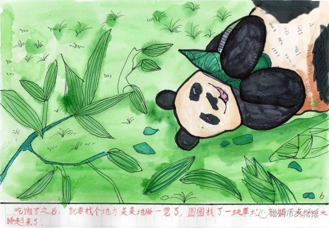 【绘本特等奖作品展】低年级组:《走近国宝大熊猫》莫钧涵