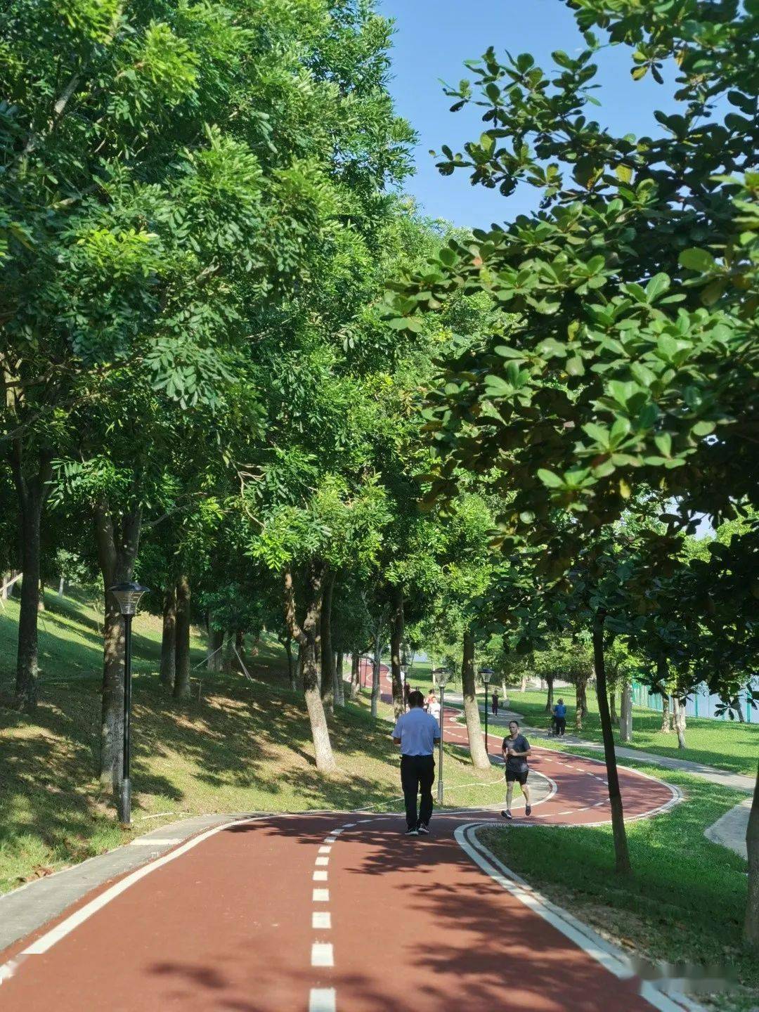 江边水丸招牌糯米饭企石这些神仙味道一天尝遍