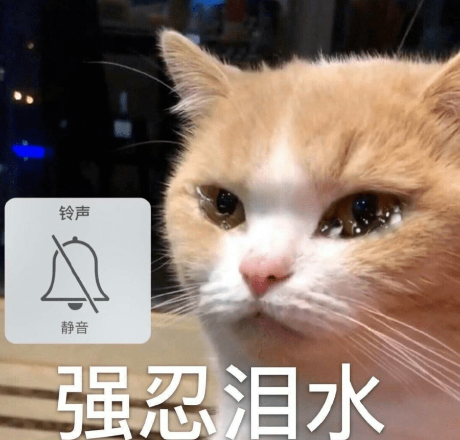 上海地铁迎来两张新面孔运营首日这位爷叔令人泪目