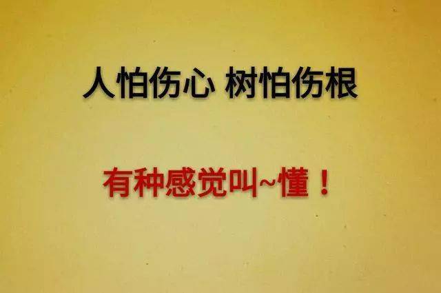 人心倒了就扶不起来了句句大道理