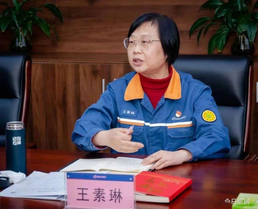 公司党委中心组集中学习中央经济工作会精神_王素琳