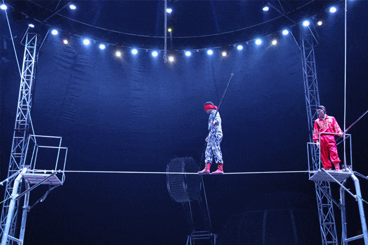 凯里人注意皇家马戏团1月1日震撼开演快点击这里抢票