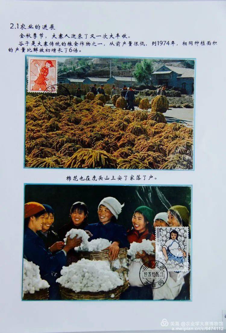 邮集欣赏开放类农业学大寨