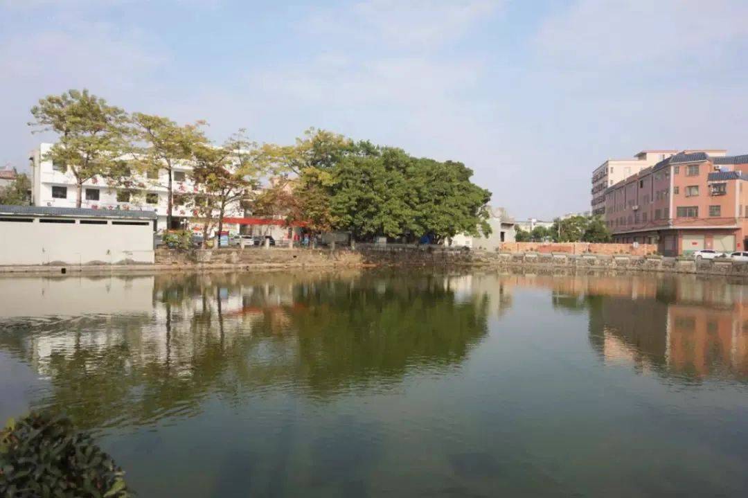 化龙镇潭山村荣获"广州最美村庄"称号!