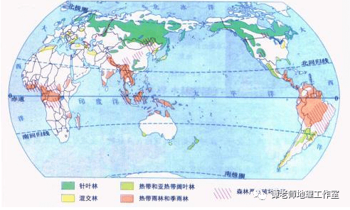 【地理观察】专业解读森林的分类和演替过程,附中国的森林种类