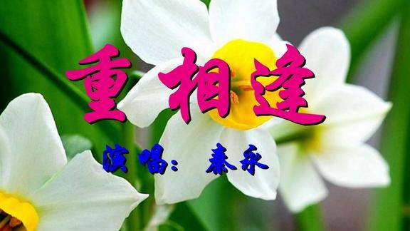 秦永一首经典情歌重相逢好听极了