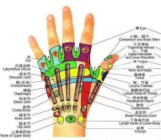 老中医一绝,刮手指治百病!98%的人不知道!_脏腑