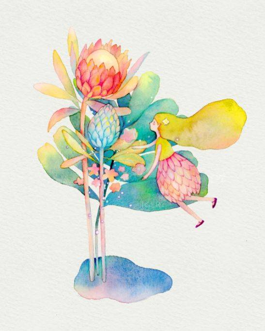 水彩花卉 | 清新唯美的水彩插画,太治愈了_素材