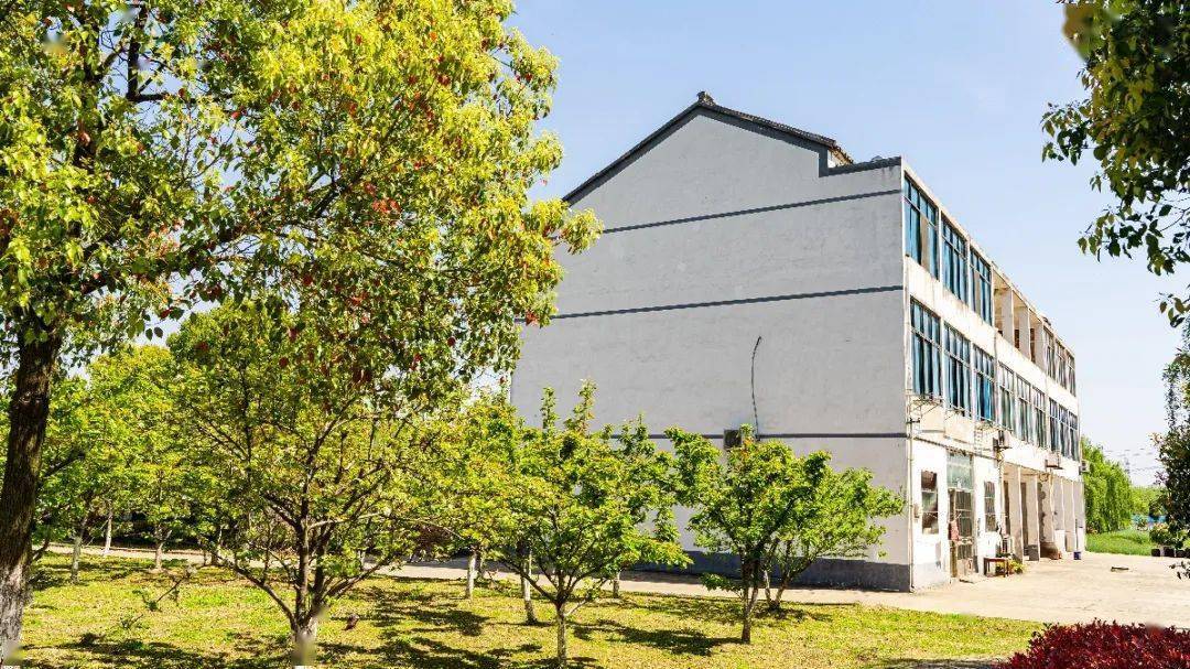 江阴档案之乡村记忆花山村风景如画画如风景的江南书画名村