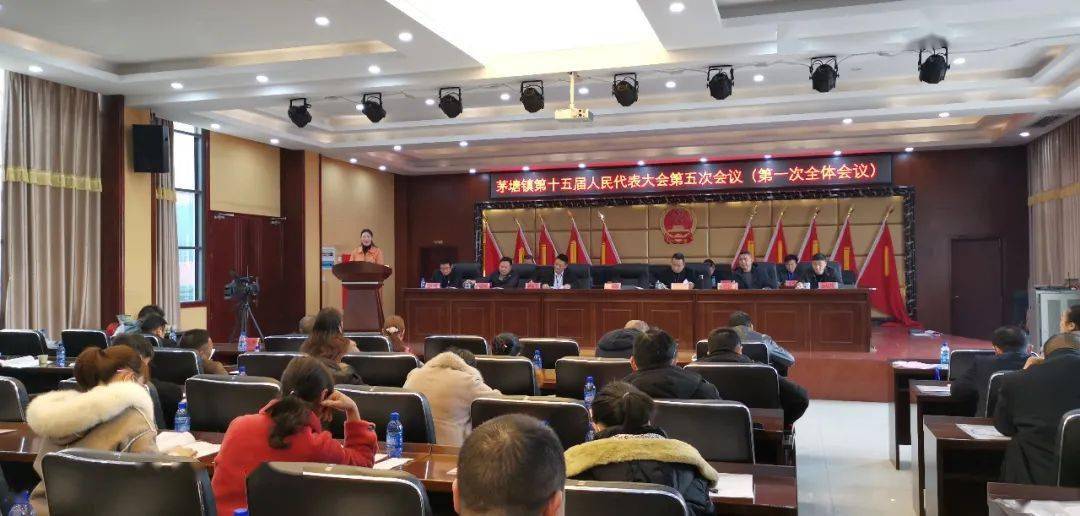 茅塘镇人大代表票决制,助力民生实事项目落实处