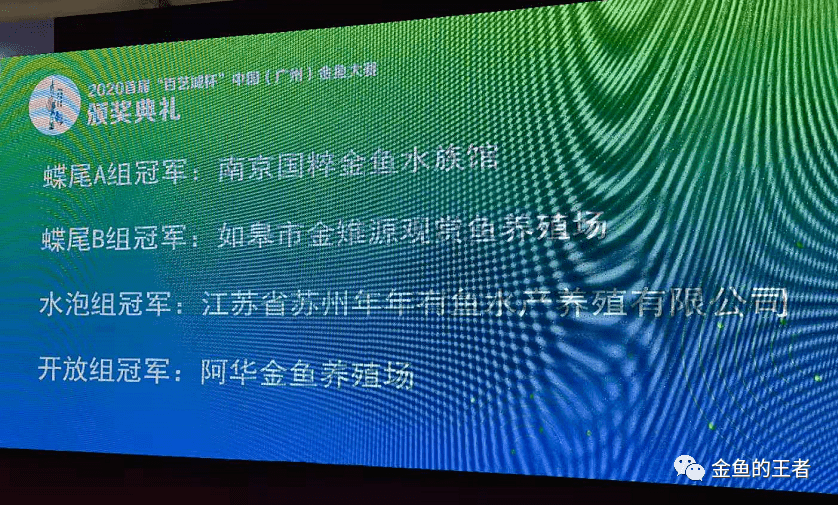 鸣谢武汉汉江渔场 ——精品协会宇野日兰国粹金鱼武汉猫狮皮球珍珠