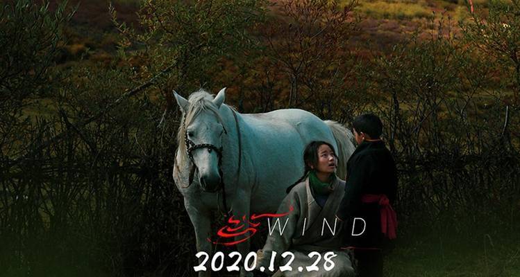 《随风飘散》正在热映 藏族风格和女性主义的完美结合