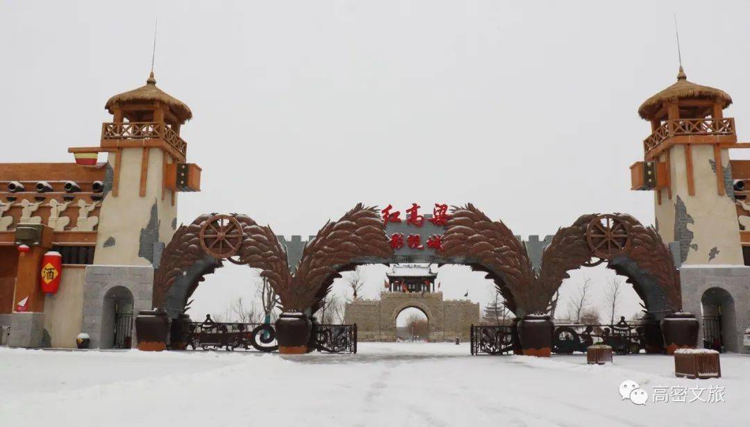 這場大雪過後在高密何止可以賞雪景