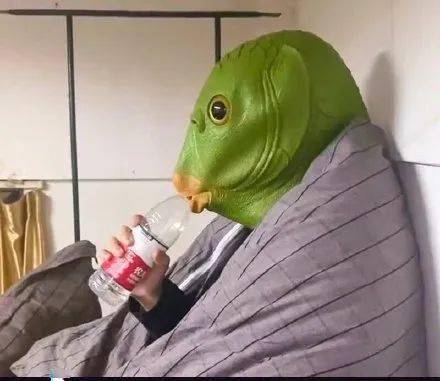 有创意的丑东西花盆挺有创意的只是猫咪的表情略大叔露趾袜还很贴心的