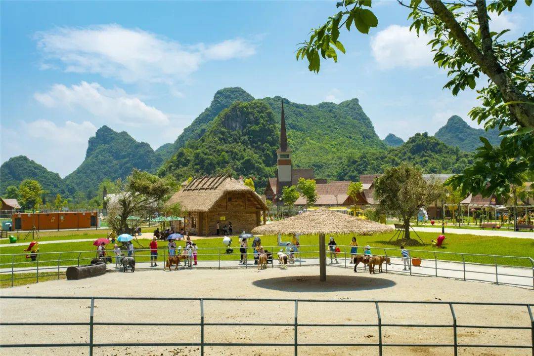 过元旦迎新年祈新愿德保矮马王国元旦系列活动邀您来打卡