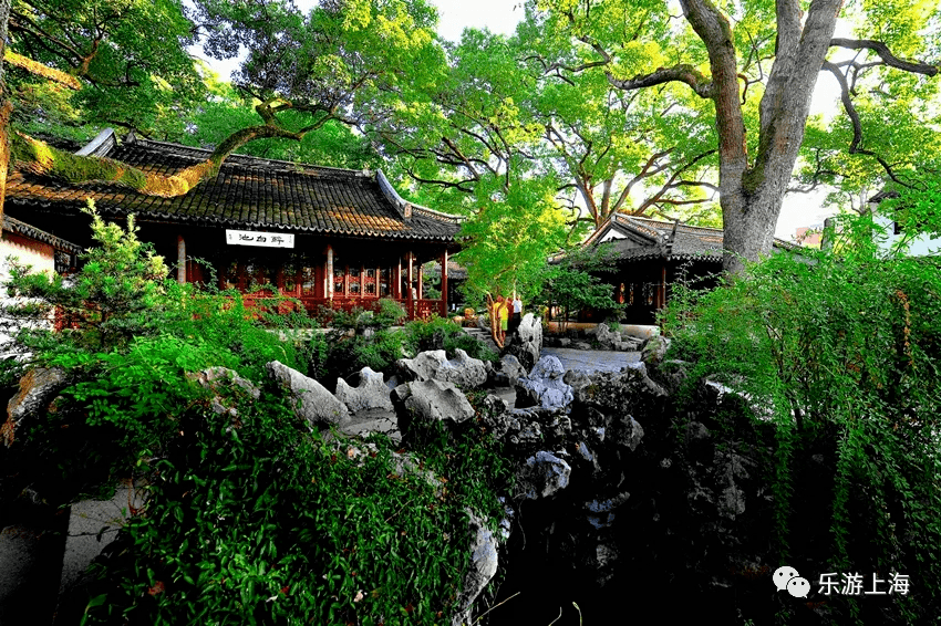 上海新增5家A级景区，涉及松江区、崇明区