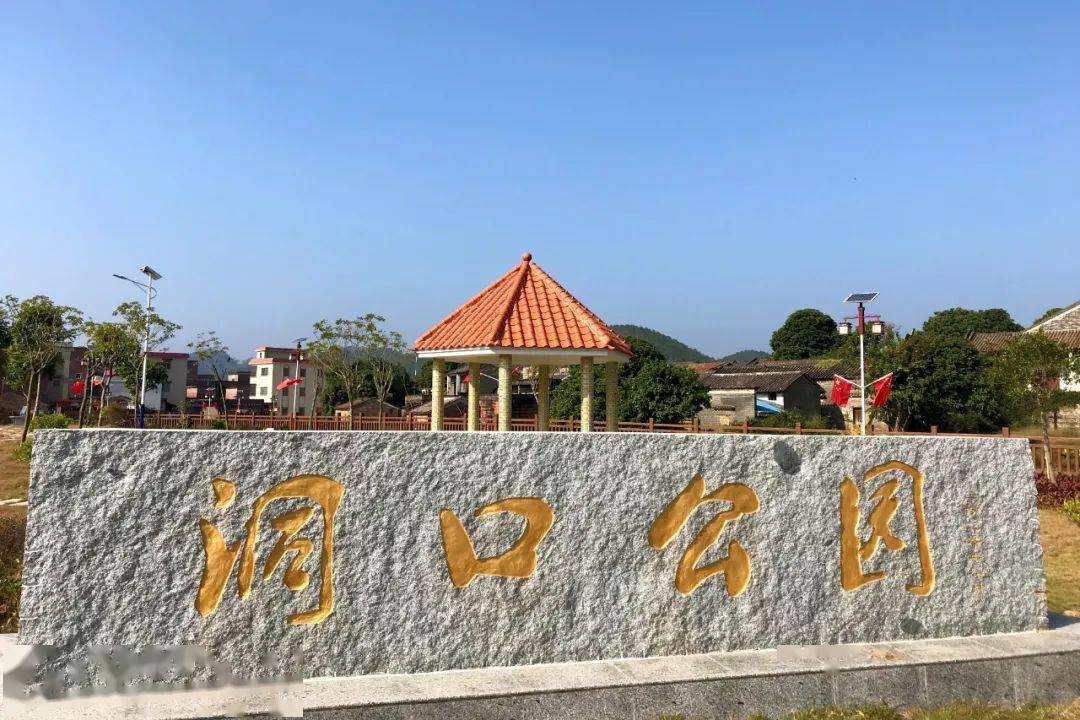 我和我的家乡高要区蛟塘镇洞口村大力推进美丽乡村建设