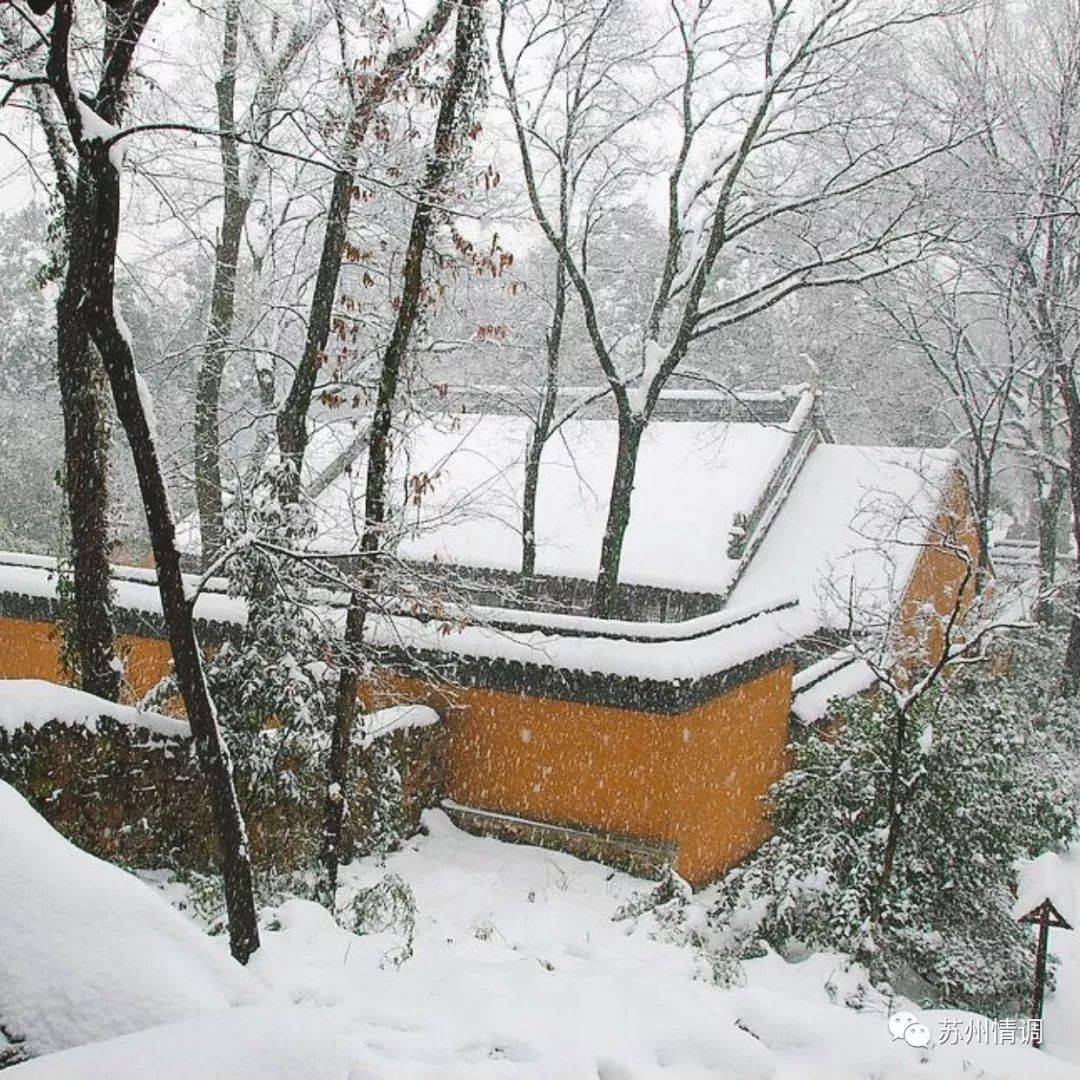 苏州大阳山雪景图片