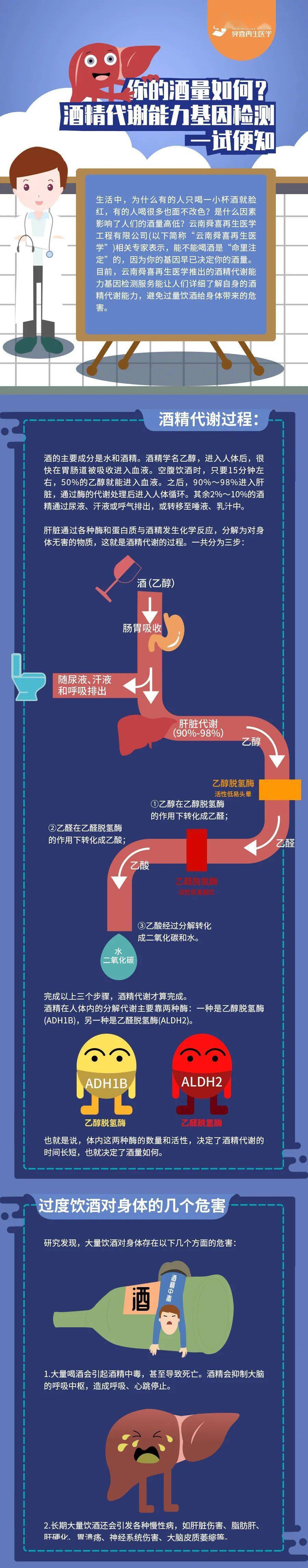 你的酒量如何?酒精代谢能力基因检测一试便知