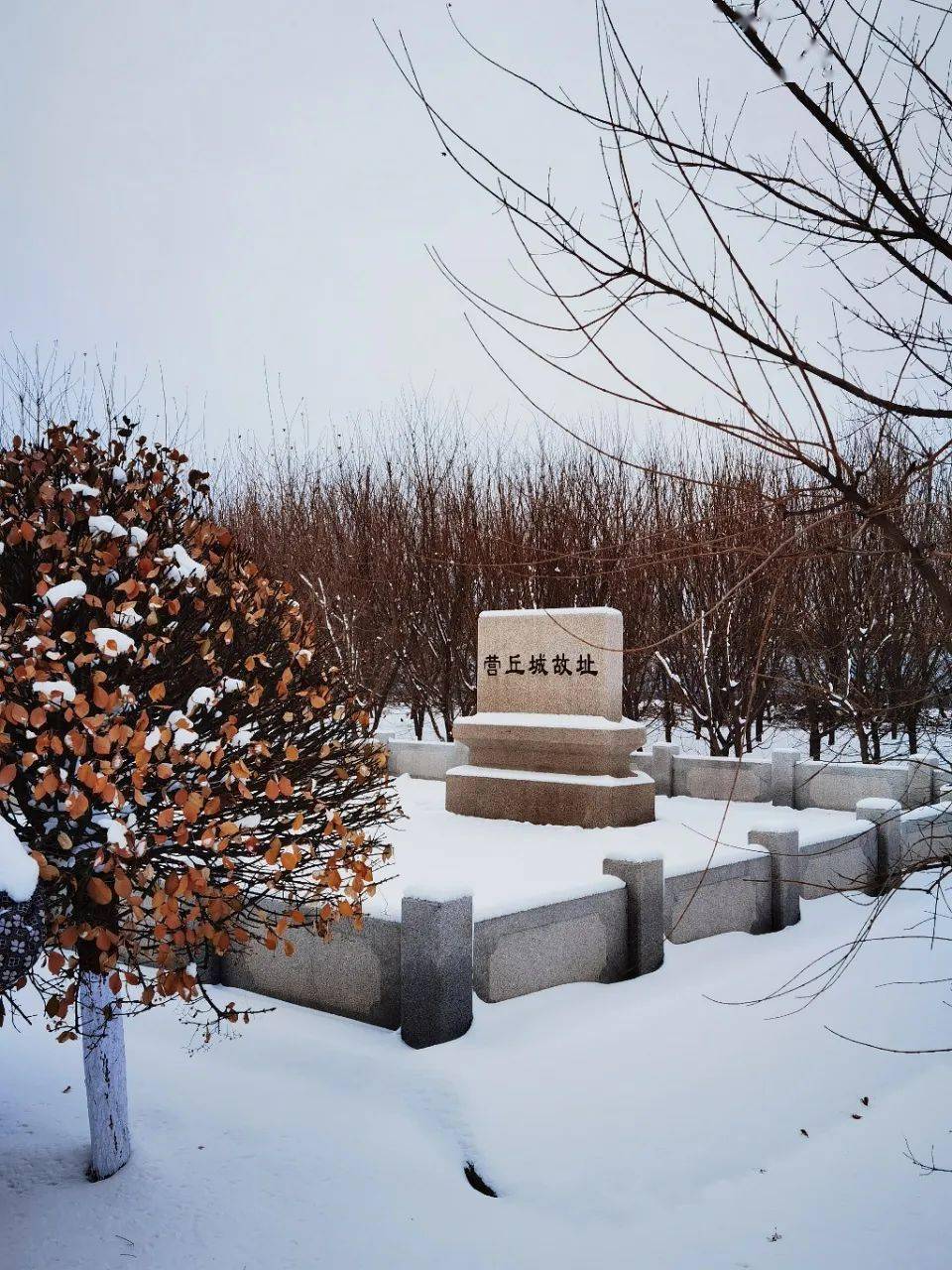 雪后桓公台(摄影:王金智)