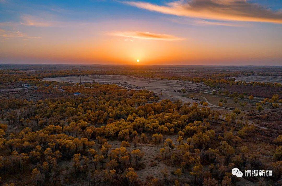 2020美丽和田绘出幸福画卷