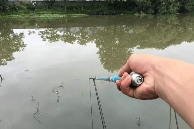 但是這也是相對來說的,我們總不可能拿釣鯉魚的線和釣鯽魚的線相比較