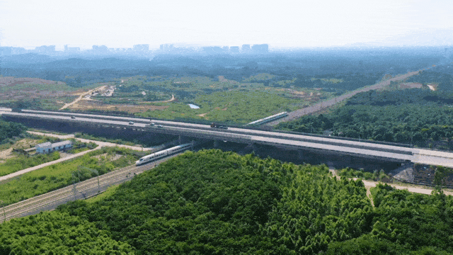 爱61城阳江回首2020奔向2021