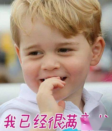 英国王室成员签名大曝光,谁写的字最好看呢?-搜狐大视野-搜狐新闻