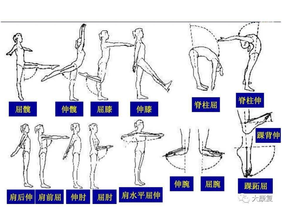 关节松动术手法分级及具体应用