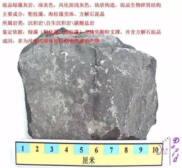 三大岩类190种岩石鉴定图册看完你就是专家