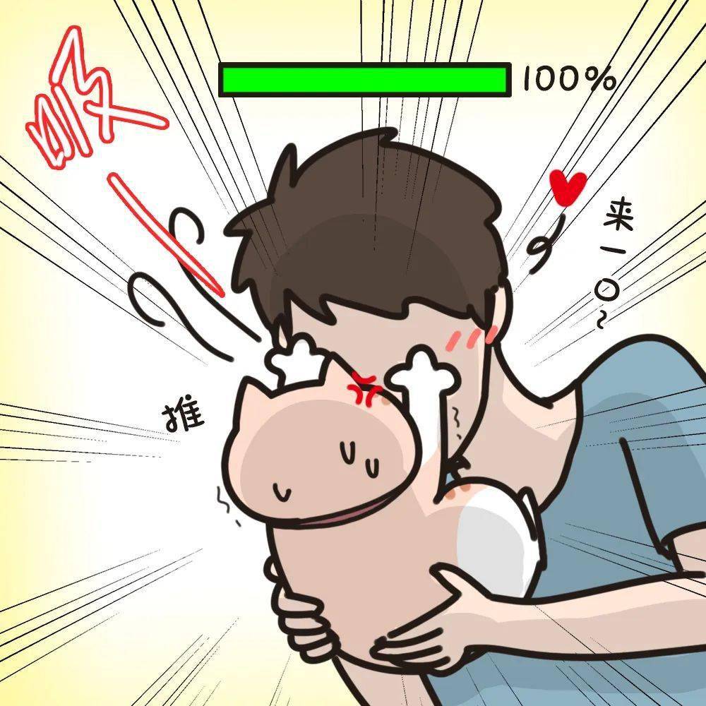 美好的一天从吸猫开始